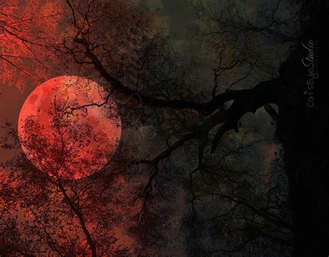 Eerie moon switch cursed with blood